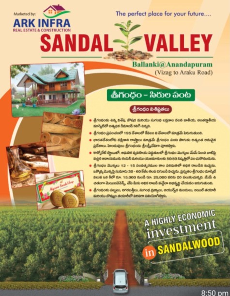 Sandal vally-1-3