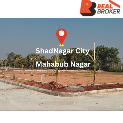 Plots Await Your Dream Home: Unmissable Opportunities in Shadnagar City, Mahabubnagar, Telangana