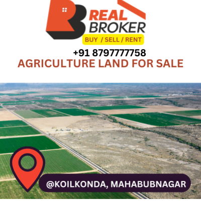 Agricultural Land for Sale in Koilkandal, Mahabubnagar